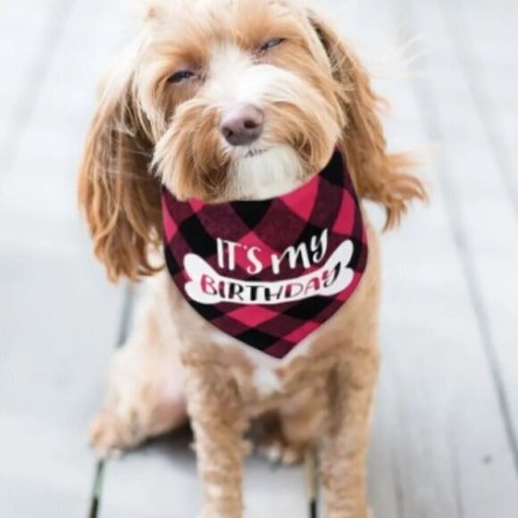 HAPPY BIRTHDAY DOG BANDANA HAT BANNER  PARTY SET, PINK - Picture 1 of 12